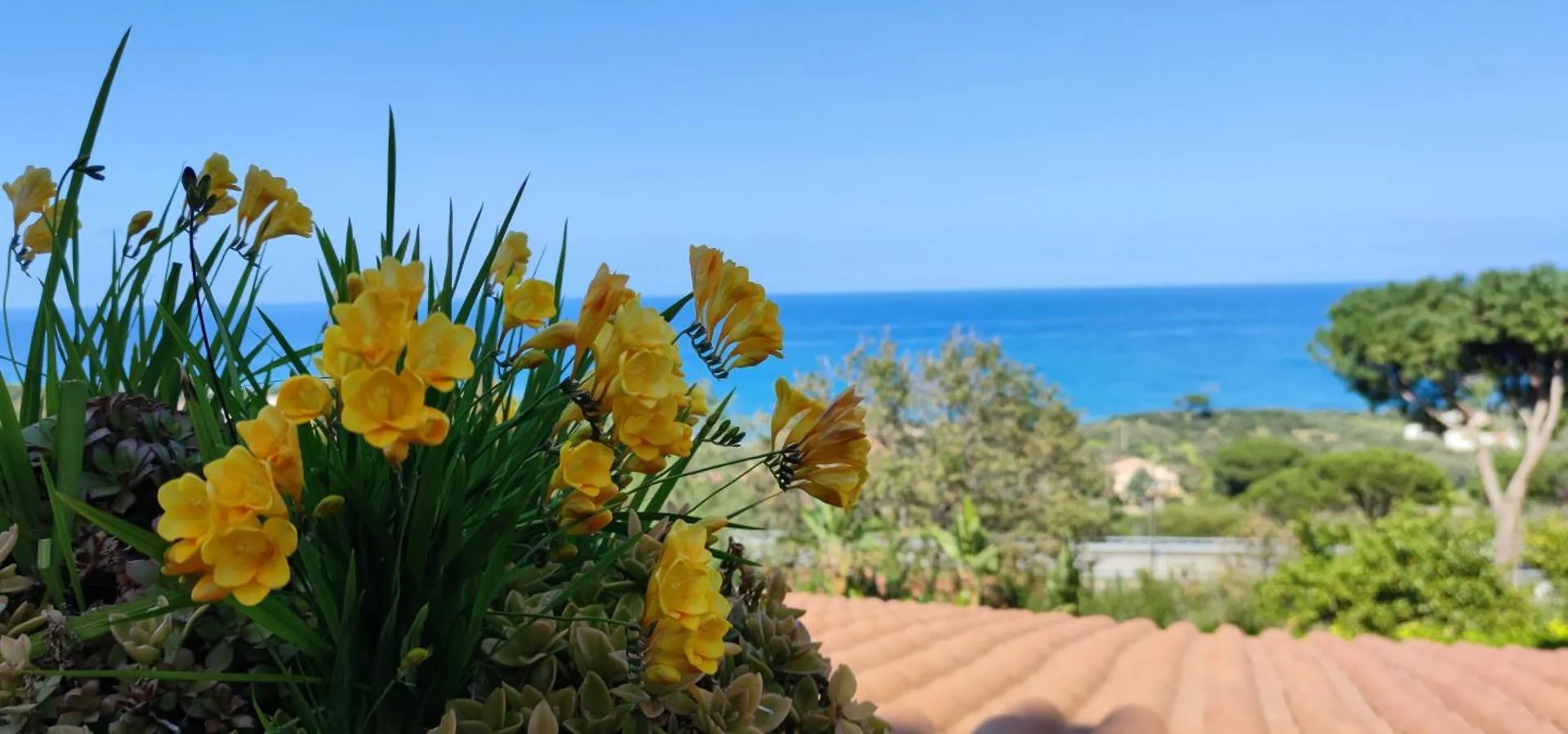 Costa Azzurra Cefalu Residence Lägenhet